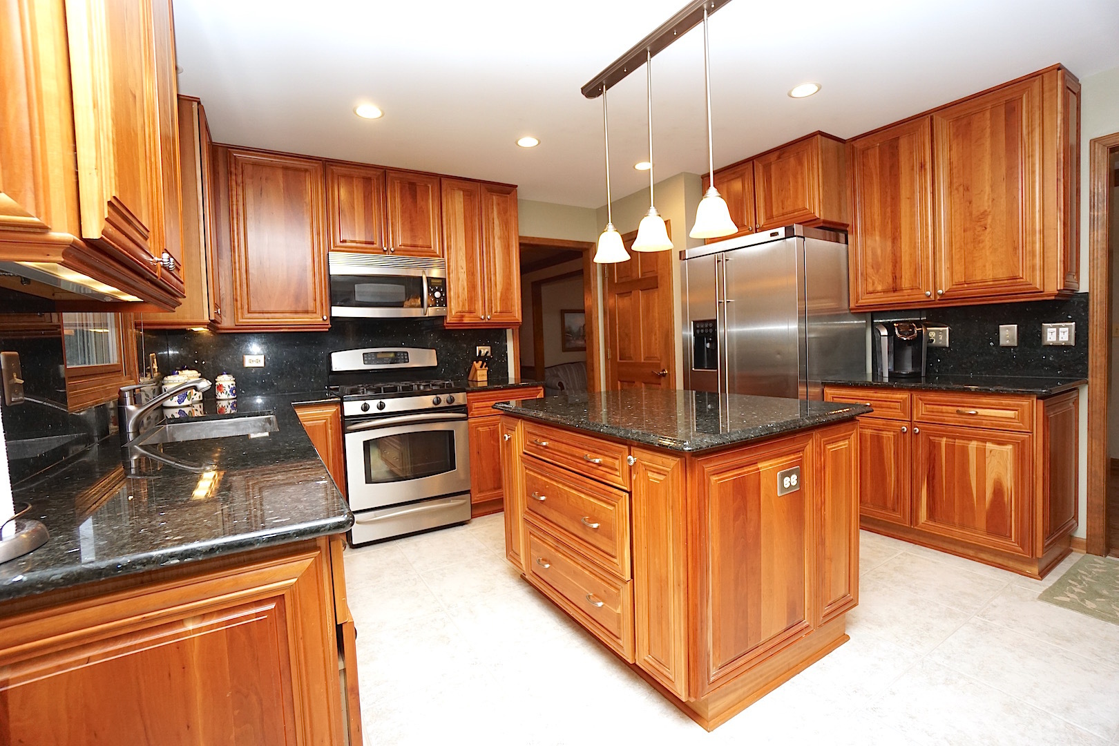 1611 Canyon Run Road Naperville, IL 60565 - Photo 8 of 23 a kitchen with stainless steel appliances granite countertop a refrigerator a stove a sink and dishwasher