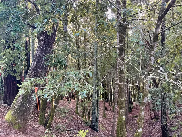 $5,500 | 26075 Poppy Drive, Willits, CA 95490