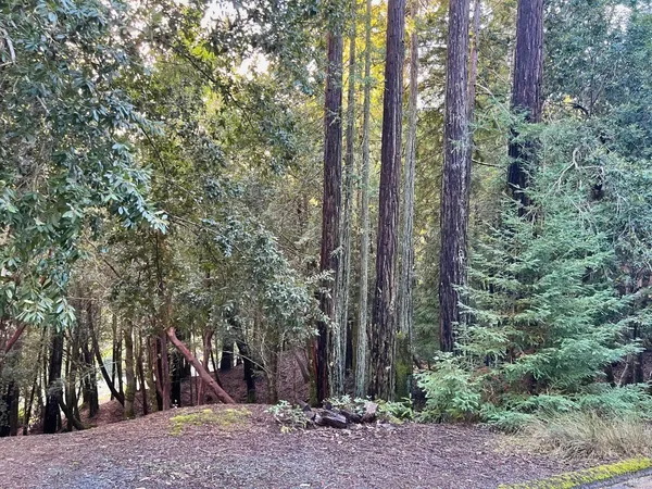 $5,500 | 26075 Poppy Drive, Willits, CA 95490