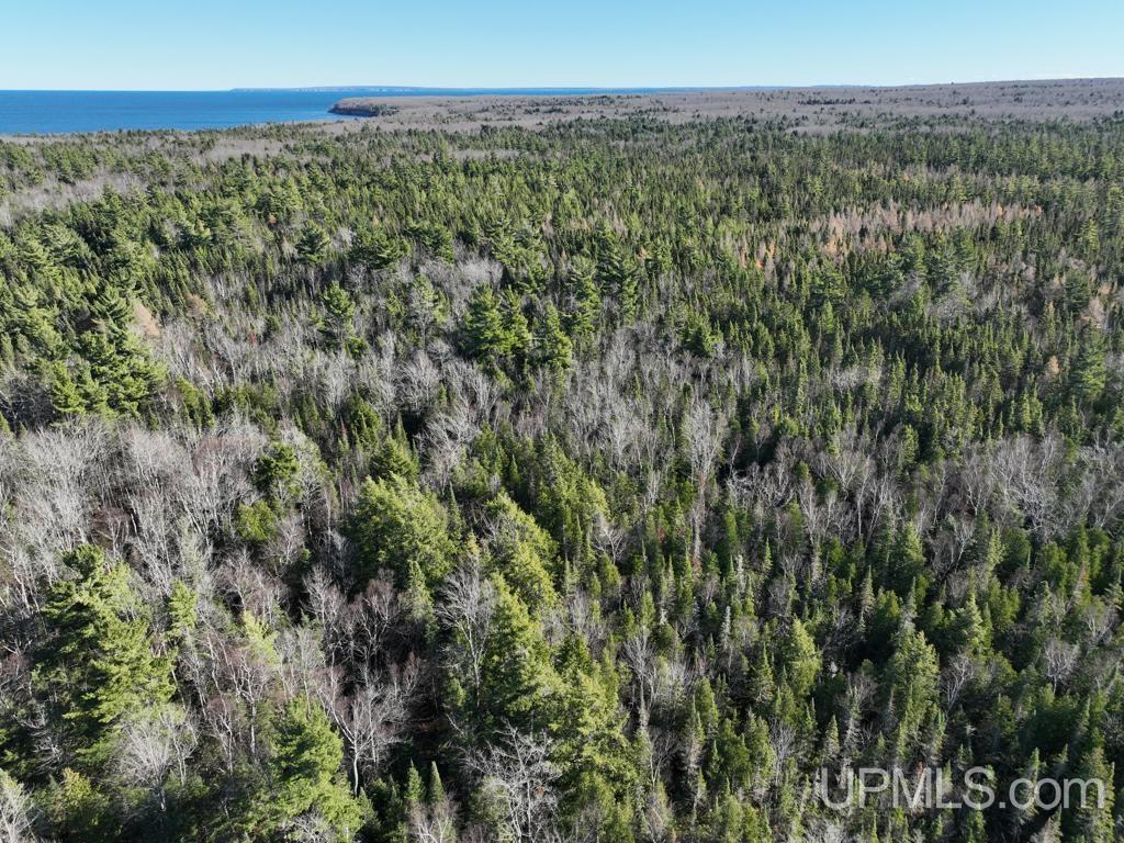 0 North Point Road Au Train, MI 49806 - Photo 9 of 20