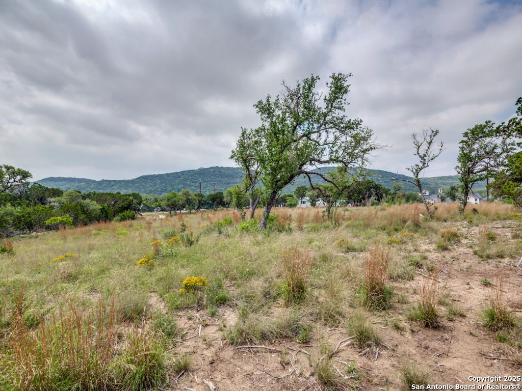 Lot 20 Canyon Forest Helotes, TX 78023 - Photo 11 of 13