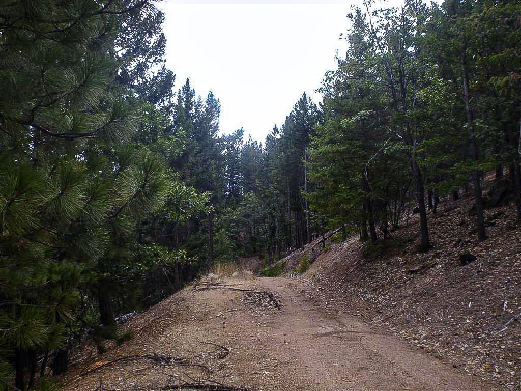 North Kidder Creek Road Etna, CA 96027 - Photo 20 of 22 4-South Kidder Creek00004