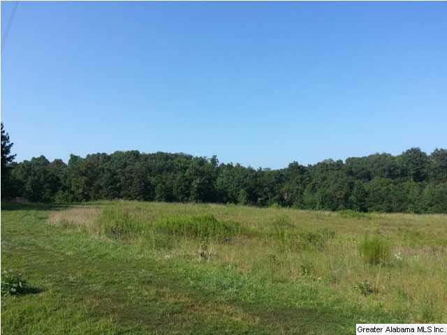 455 County Road, Unit 53 Woodland, AL 36280 - Photo 13 of 21