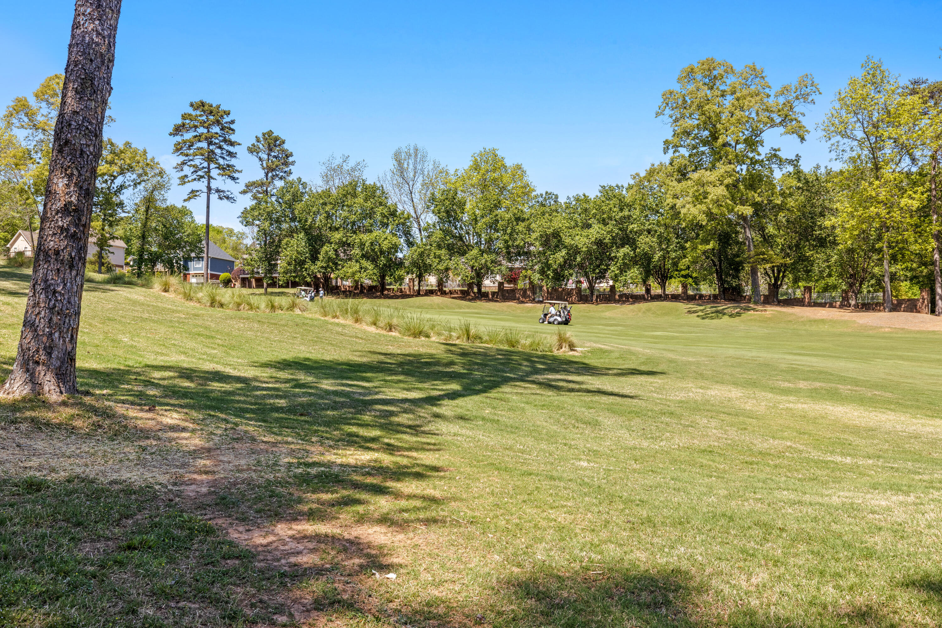 649 Wisley Way Ringgold, GA 30736 - Photo 56 of 69 Wisley-64