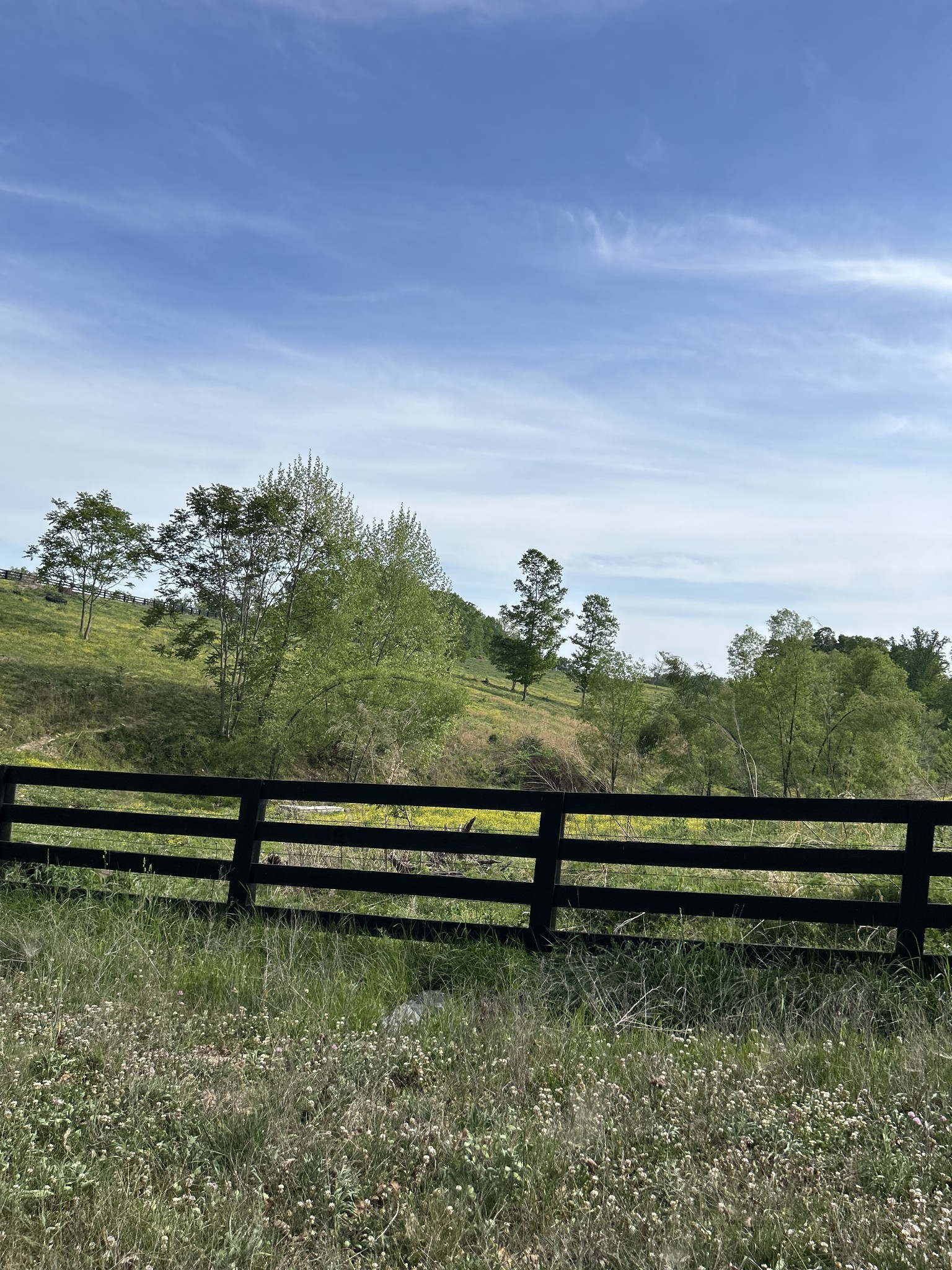 7810 Oscar Green Road Primm Springs, TN 38476 - Photo 4 of 13 a view of outdoor space and garden