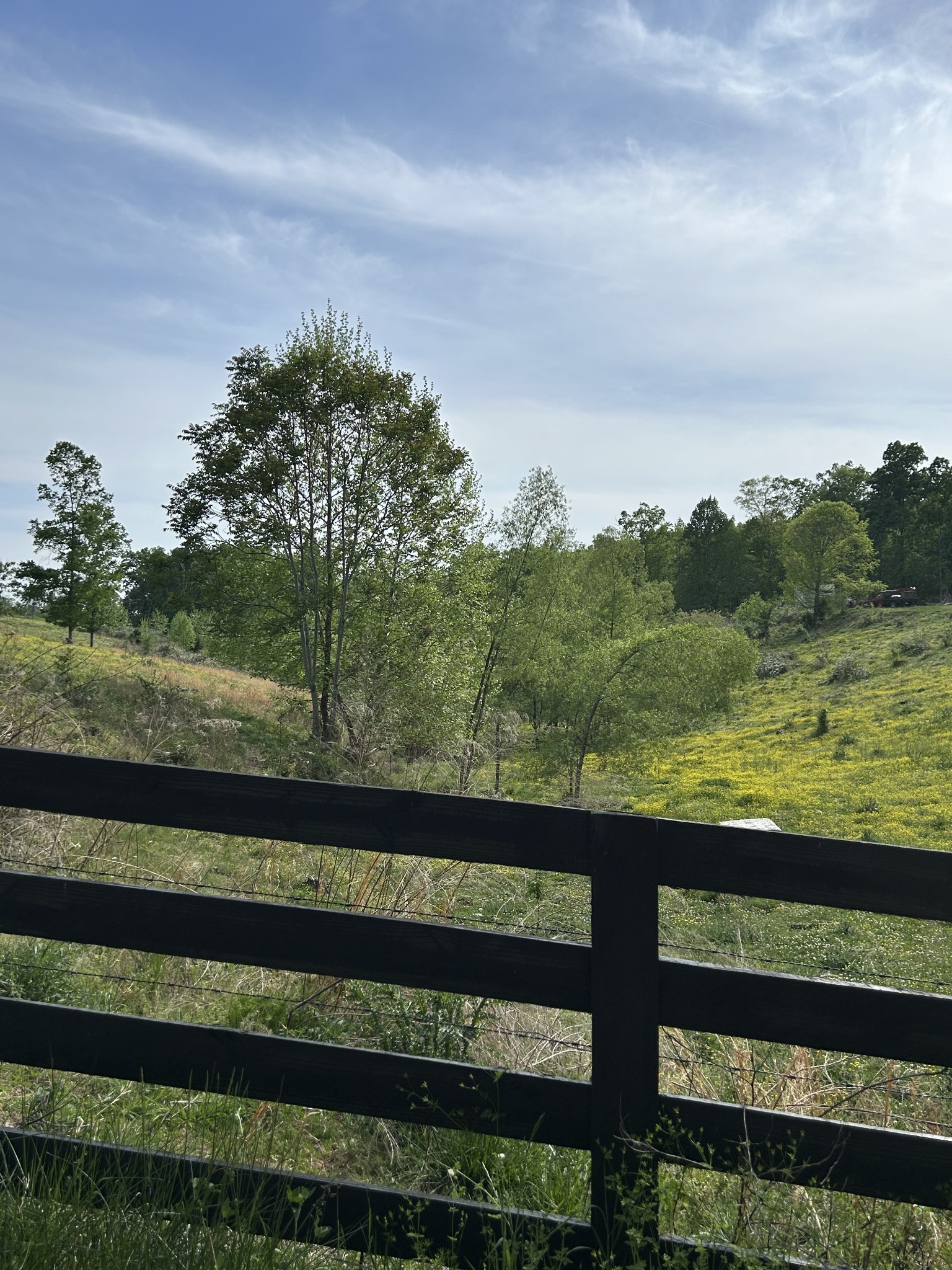 7810 Oscar Green Road Primm Springs, TN 38476 - Photo 6 of 13 a view of a lake from a yard