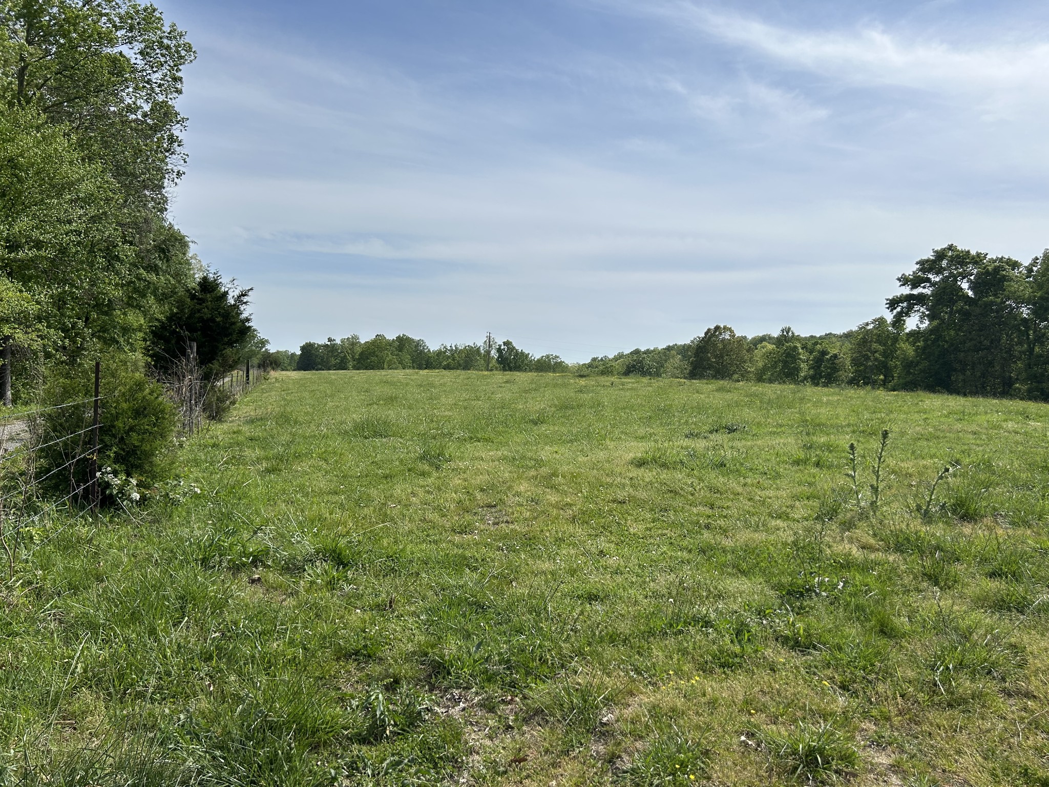 7810 Oscar Green Road Primm Springs, TN 38476 - Photo 9 of 13 a view of a field with an ocean and trees