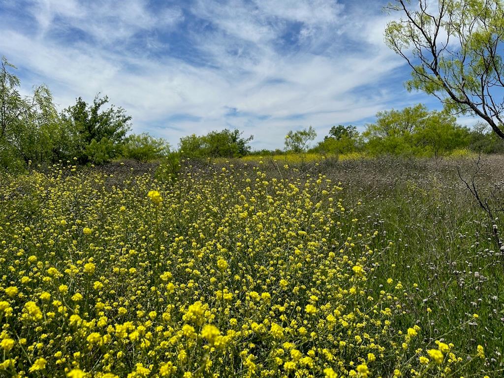 27 Cr 106 Brownwood Tx  