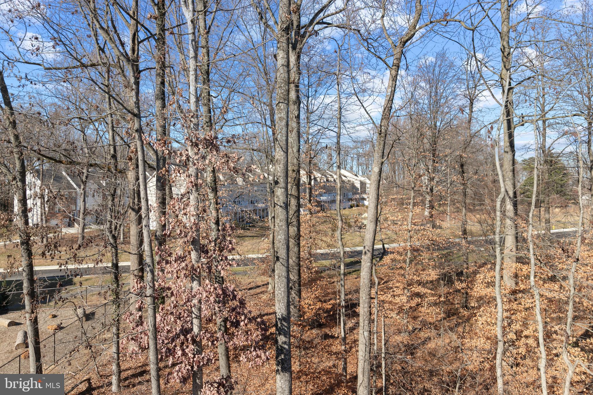 1286 Orchid Road Gambrills, MD 21054 - Photo 32 of 38 Gallery Image 32