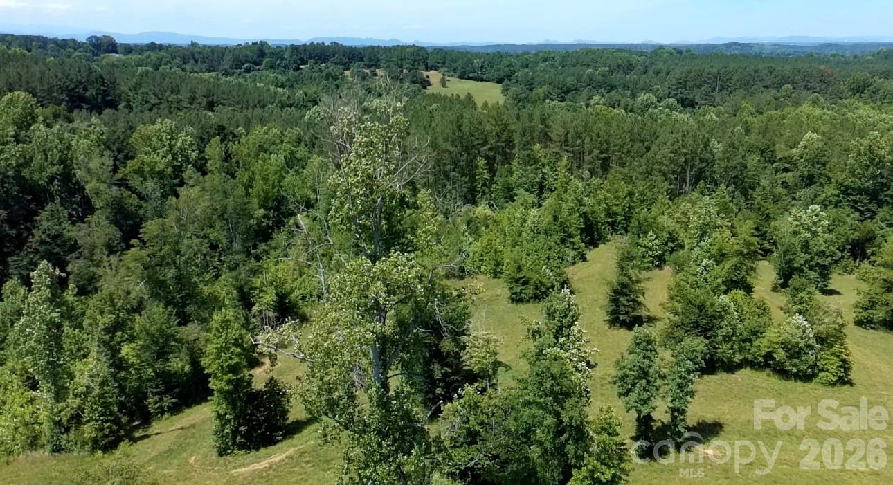 473 McEntire Road Tryon, NC 28782 - Photo 12 of 18