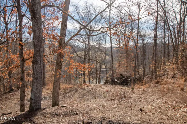 $179,000 | 101 Pointe Drive, Unit 2, Piney Flats, TN 37686