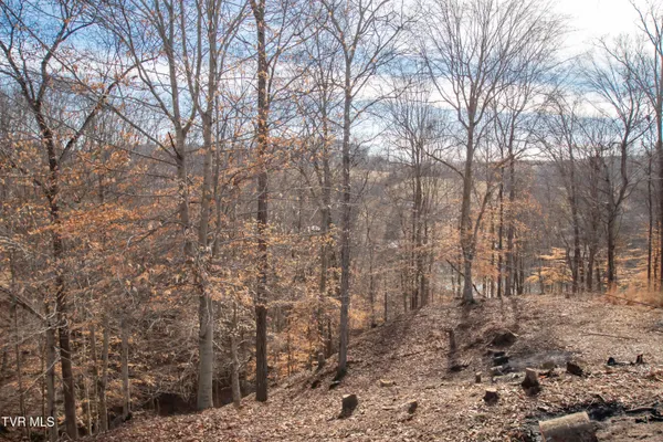 $179,000 | 101 Pointe Drive, Unit 2, Piney Flats, TN 37686