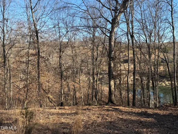 $179,000 | 101 Pointe Drive, Unit 2, Piney Flats, TN 37686