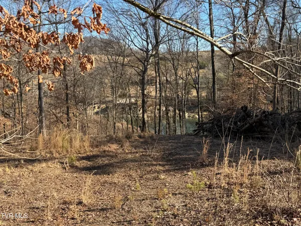 $179,000 | 101 Pointe Drive, Unit 2, Piney Flats, TN 37686