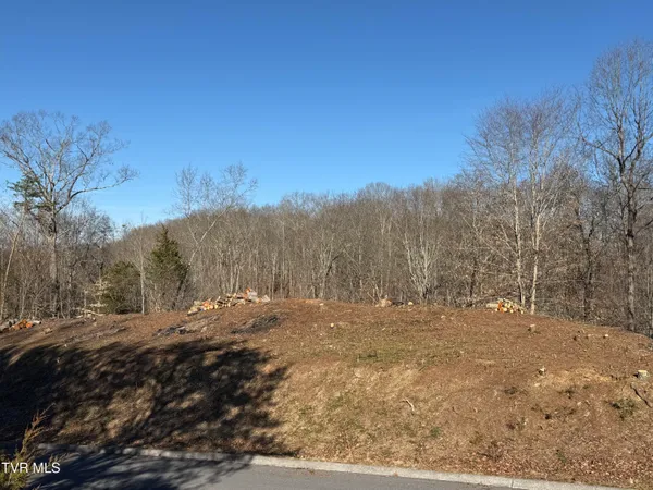 $179,000 | 101 Pointe Drive, Unit 2, Piney Flats, TN 37686