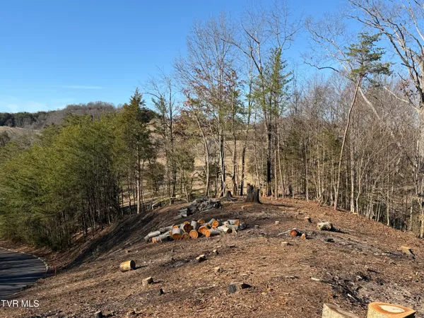 $179,000 | 101 Pointe Drive, Unit 2, Piney Flats, TN 37686