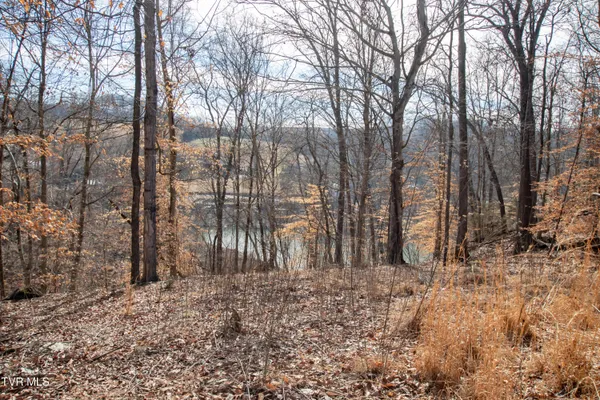 $179,000 | 101 Pointe Drive, Unit 2, Piney Flats, TN 37686