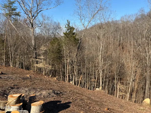 $179,000 | 101 Pointe Drive, Unit 2, Piney Flats, TN 37686