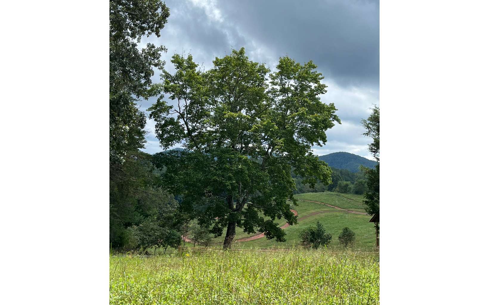 Mountain Road Morganton, GA 30560 - Photo 1 of 7 Main View