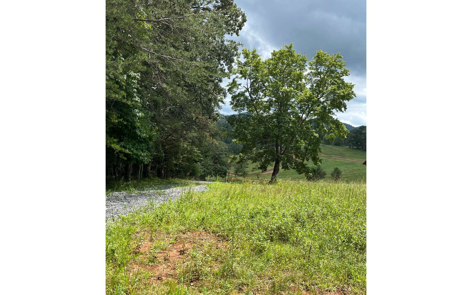 Mountain Road Morganton, GA 30560 - Photo 4 of 7 Additional View