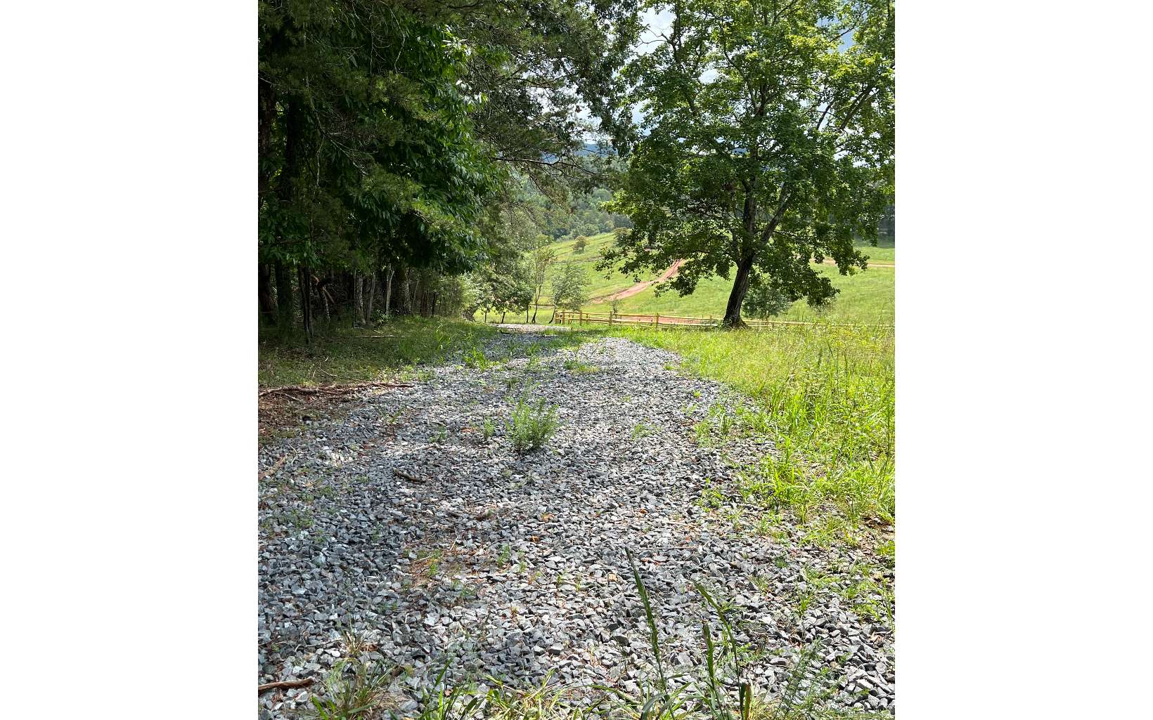 Mountain Road Morganton, GA 30560 - Photo 6 of 7 Additional View