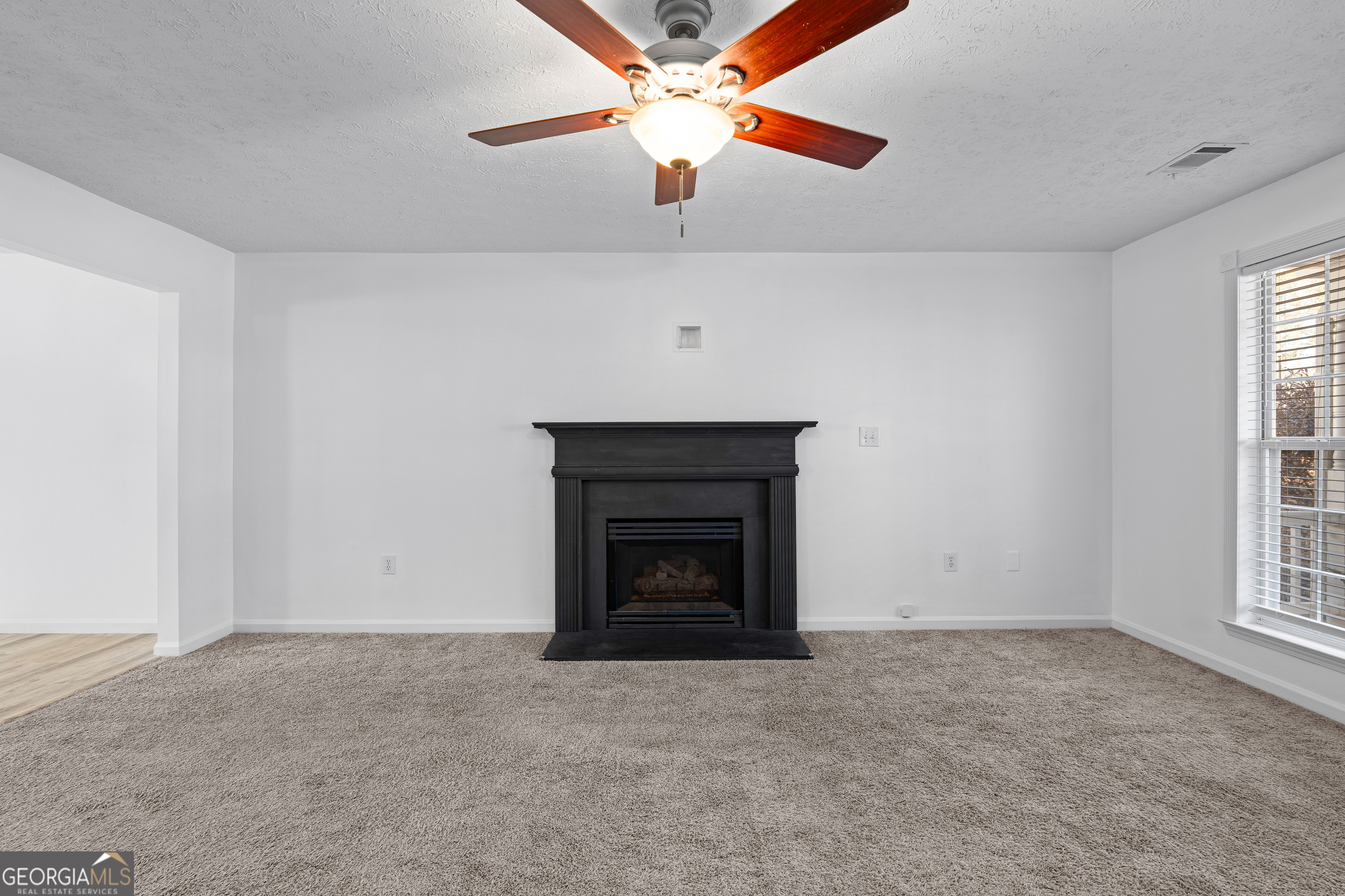 19 Rayner Drive Newnan, GA 30265 - Photo 9 of 53 a living room with a fireplace