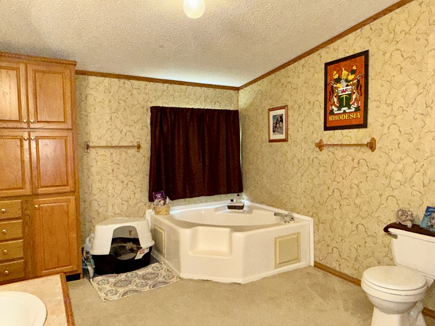2025 Central Hill Road Grantsburg, IL 62943 - Photo 15 of 31 a bathroom with a sink and a bath tub