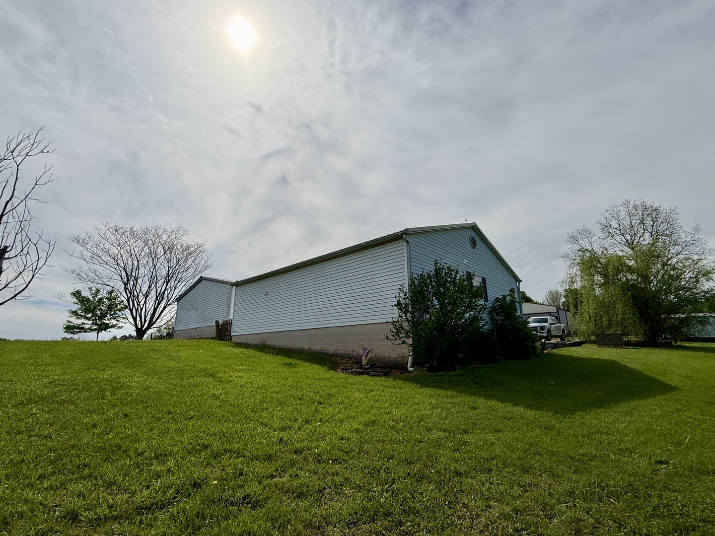 2025 Central Hill Road Grantsburg, IL 62943 - Photo 26 of 31 a backyard of a house with plants and large tree
