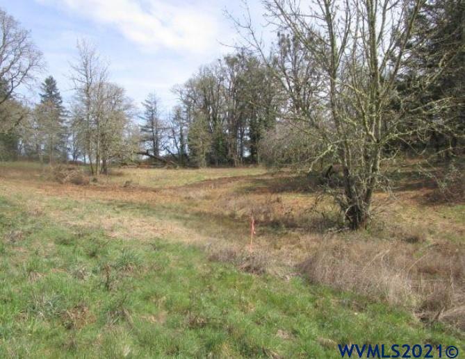 3205 Brush College Road Northwest Salem, OR 97304 - Photo 8 of 9