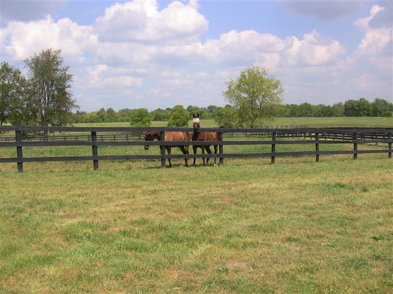 2000 Stamping Ground Road Georgetown, KY 40324 - Photo 30 of 33 Photo 30