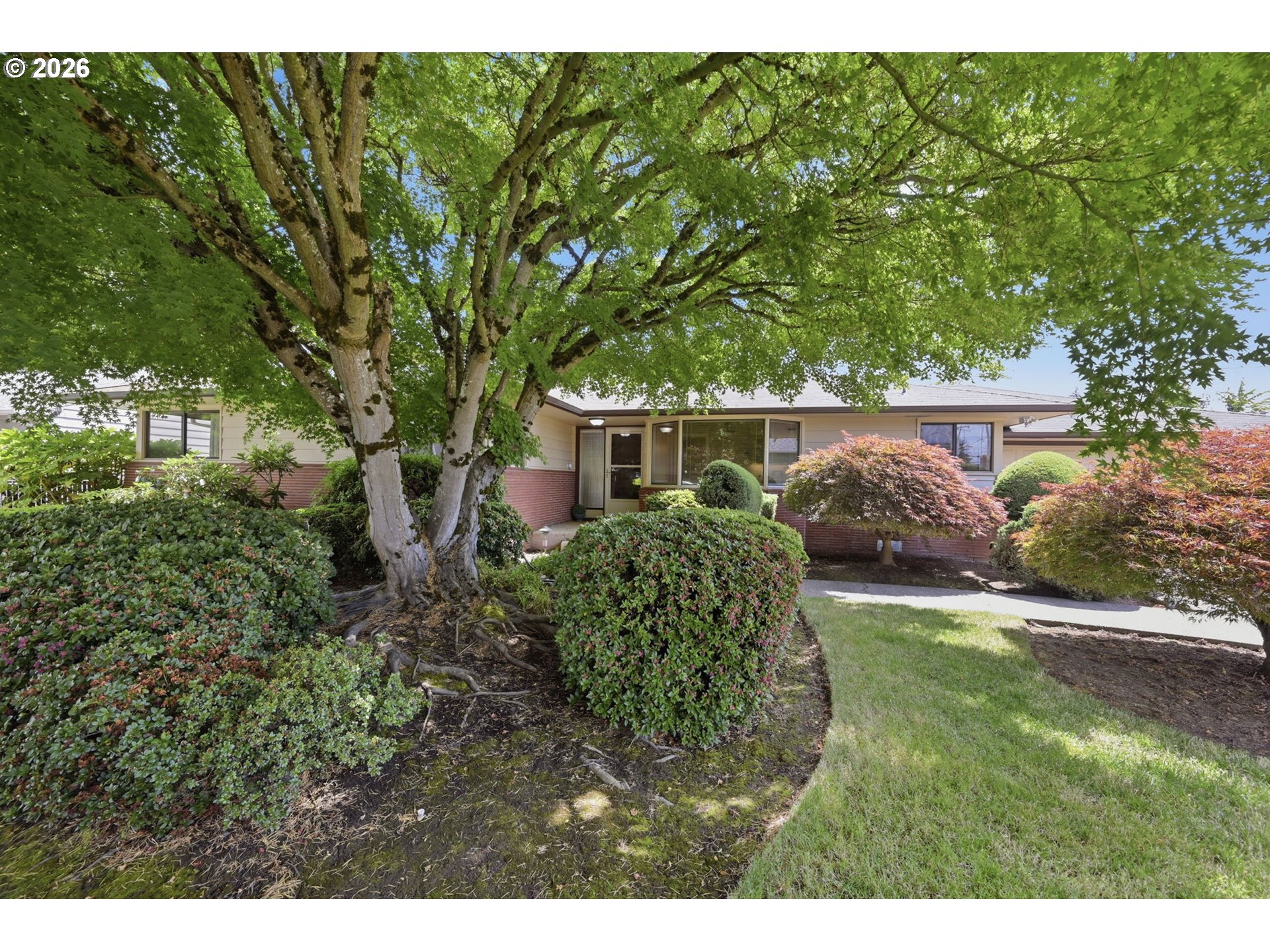825 Louis Street Eugene, OR 97402 - Photo 3 of 45