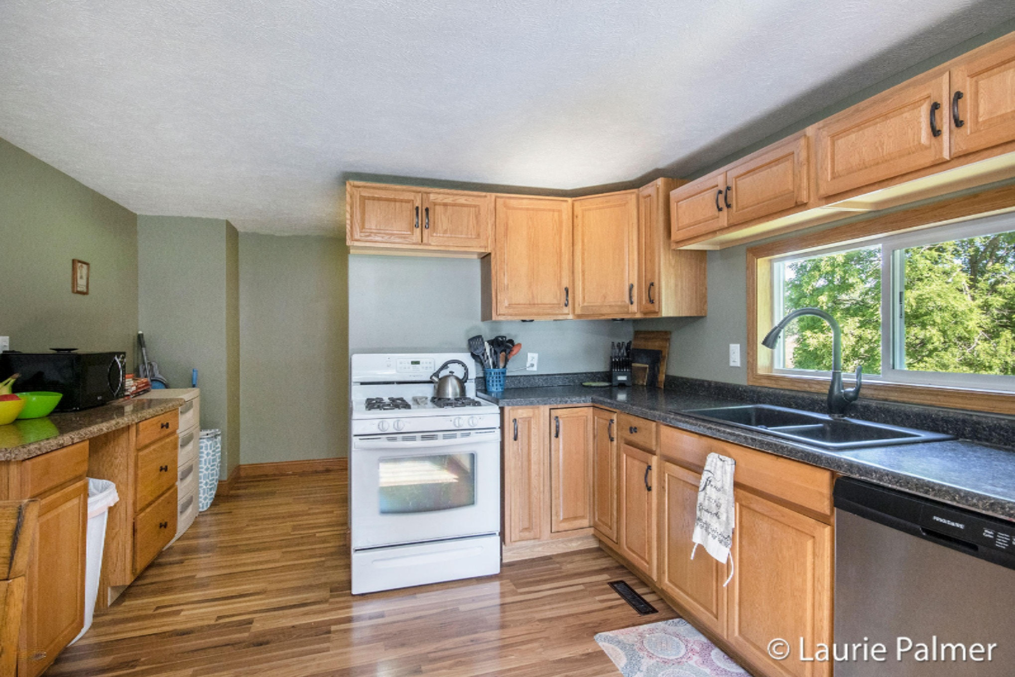 3979 Luce Road Ionia, MI 48846 - Photo 9 of 34 IMG_2417