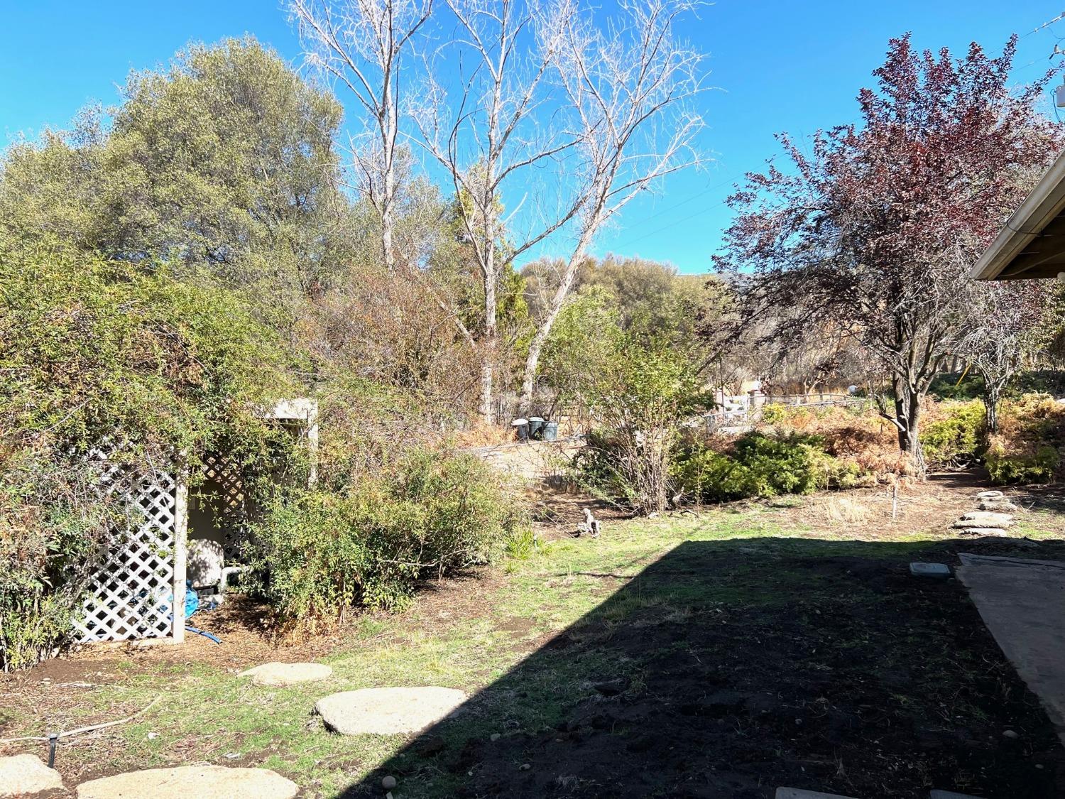 40402 Dunlap Road Dunlap, CA 93621 - Photo 13 of 21 Gallery Image 13