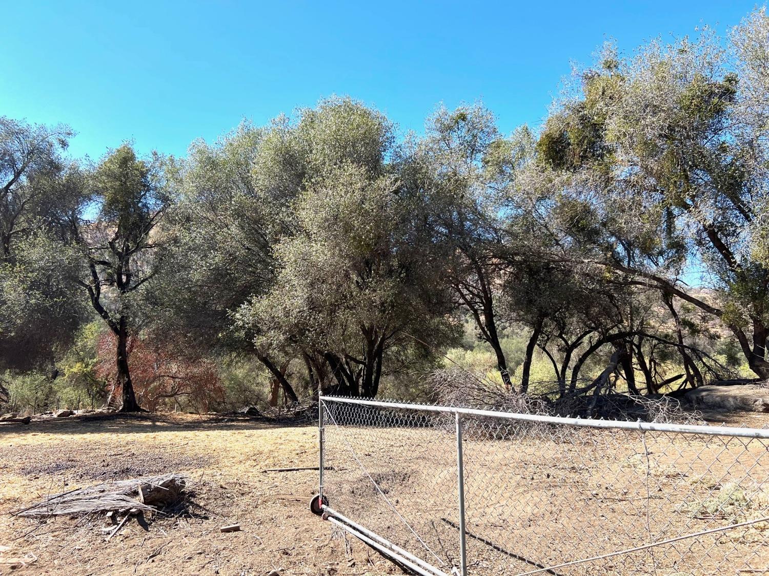 40402 Dunlap Road Dunlap, CA 93621 - Photo 16 of 21 Gallery Image 16