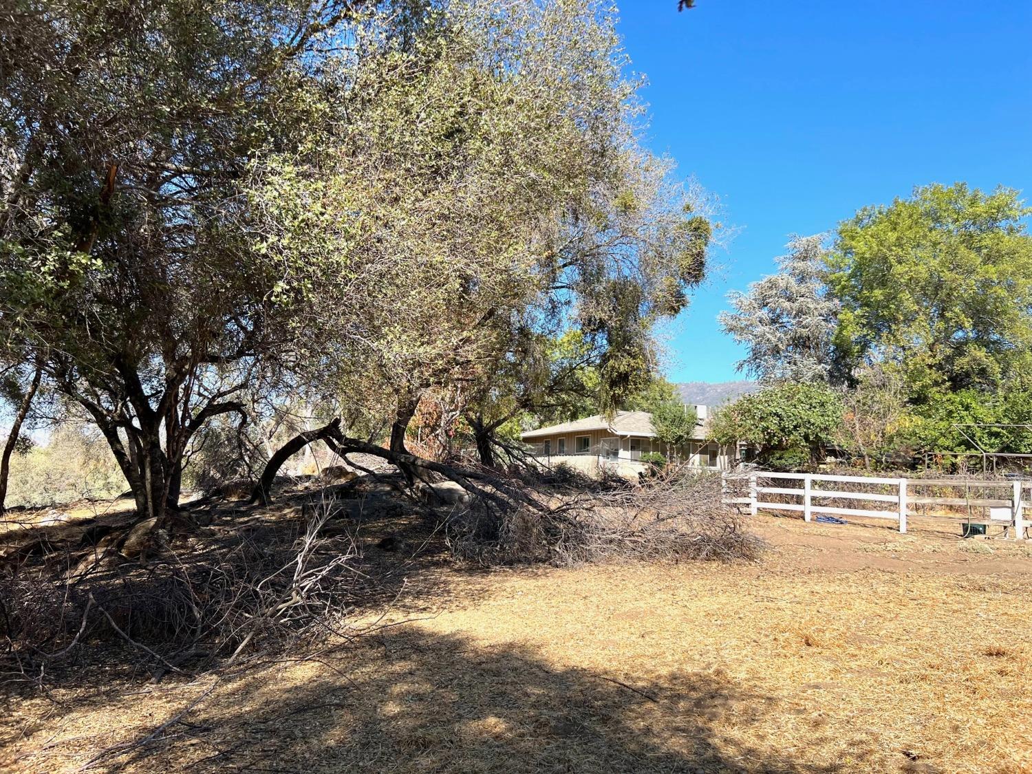 40402 Dunlap Road Dunlap, CA 93621 - Photo 18 of 21 Gallery Image 18