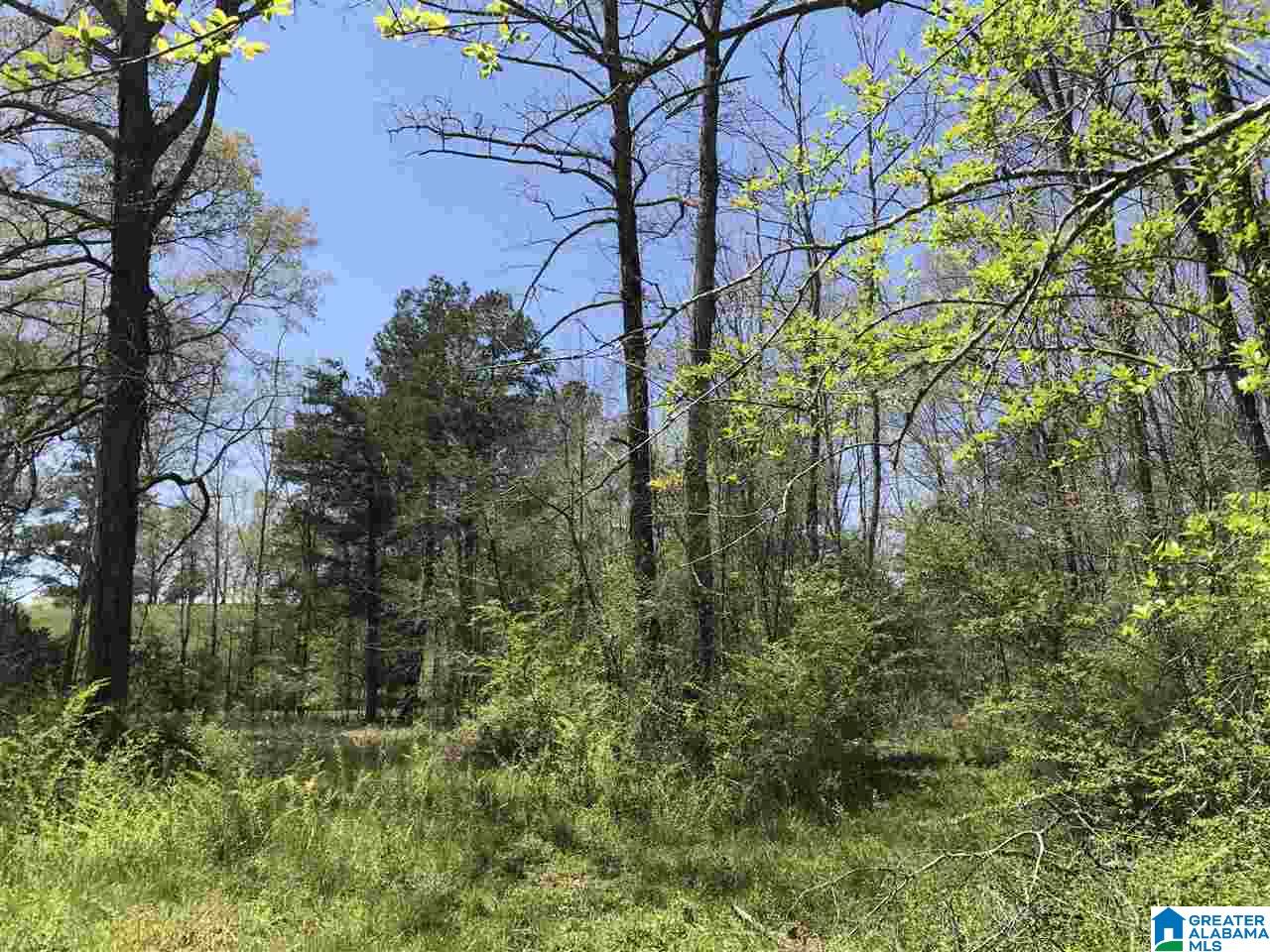 4133 Roy Webb Road, Unit 1 Jacksonville, AL 36265 - Photo 35 of 40