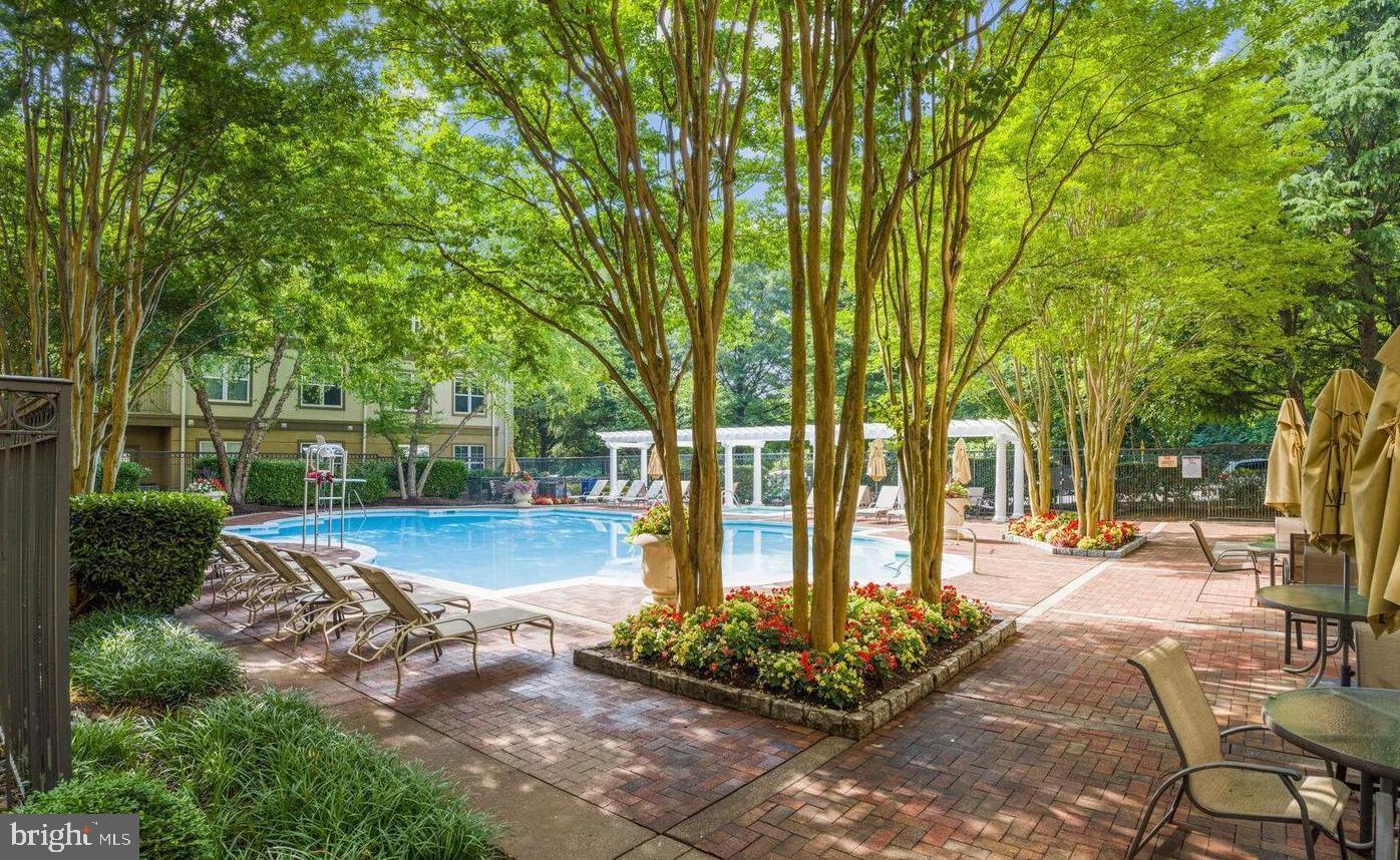 11800 Old Georgetown Road, Unit 1422 North Bethesda, MD 20852 - Photo 34 of 38 Pool