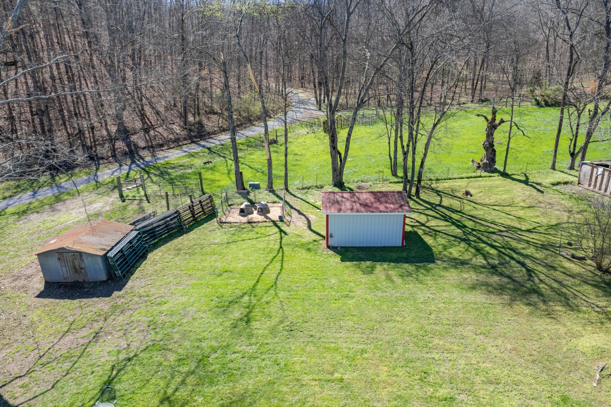 755 Briar Pond Road Centerville, TN 37033 - Photo 10 of 54