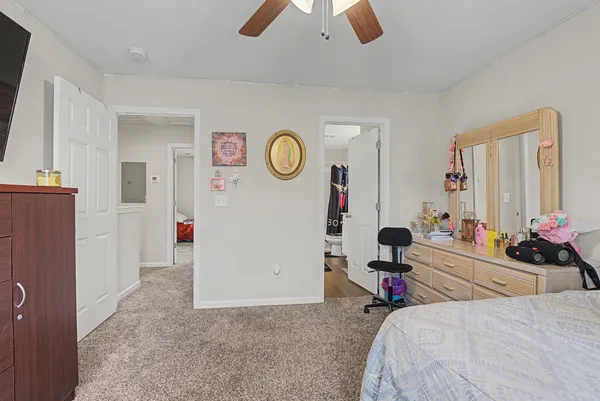 a view of a yard with trees in the background