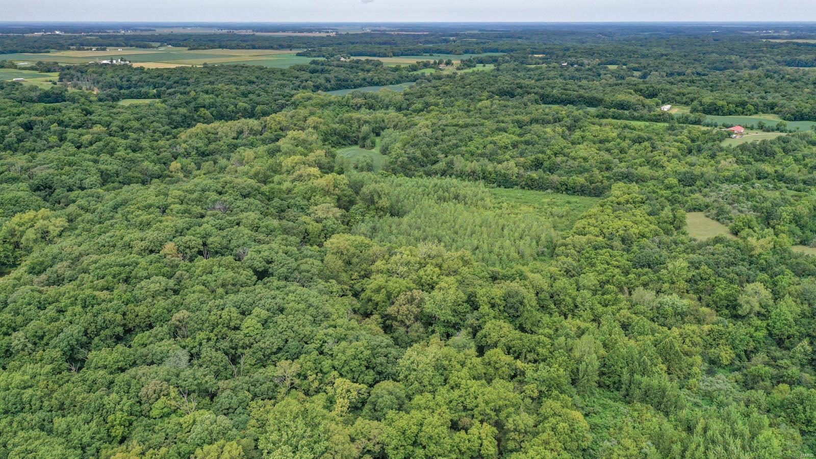 10461 Bounds Road Shipman, IL 62685 - Photo 13 of 46
