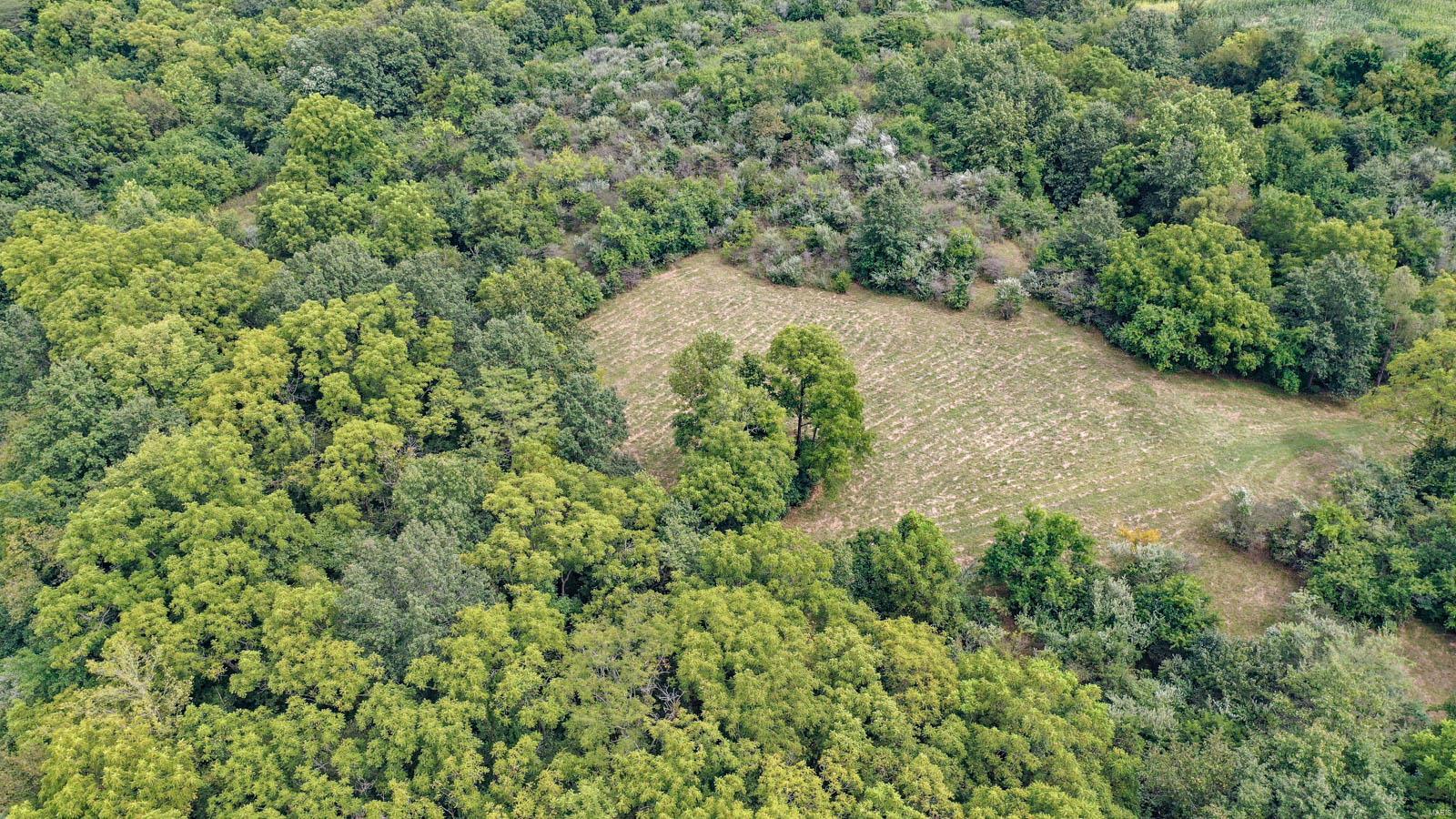 10461 Bounds Road Shipman, IL 62685 - Photo 15 of 46