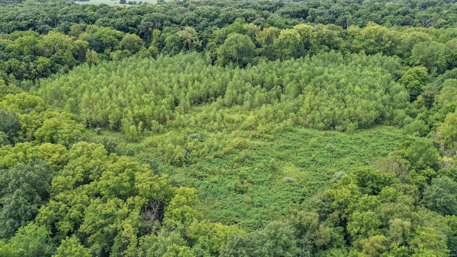 10461 Bounds Road Shipman, IL 62685 - Photo 16 of 46