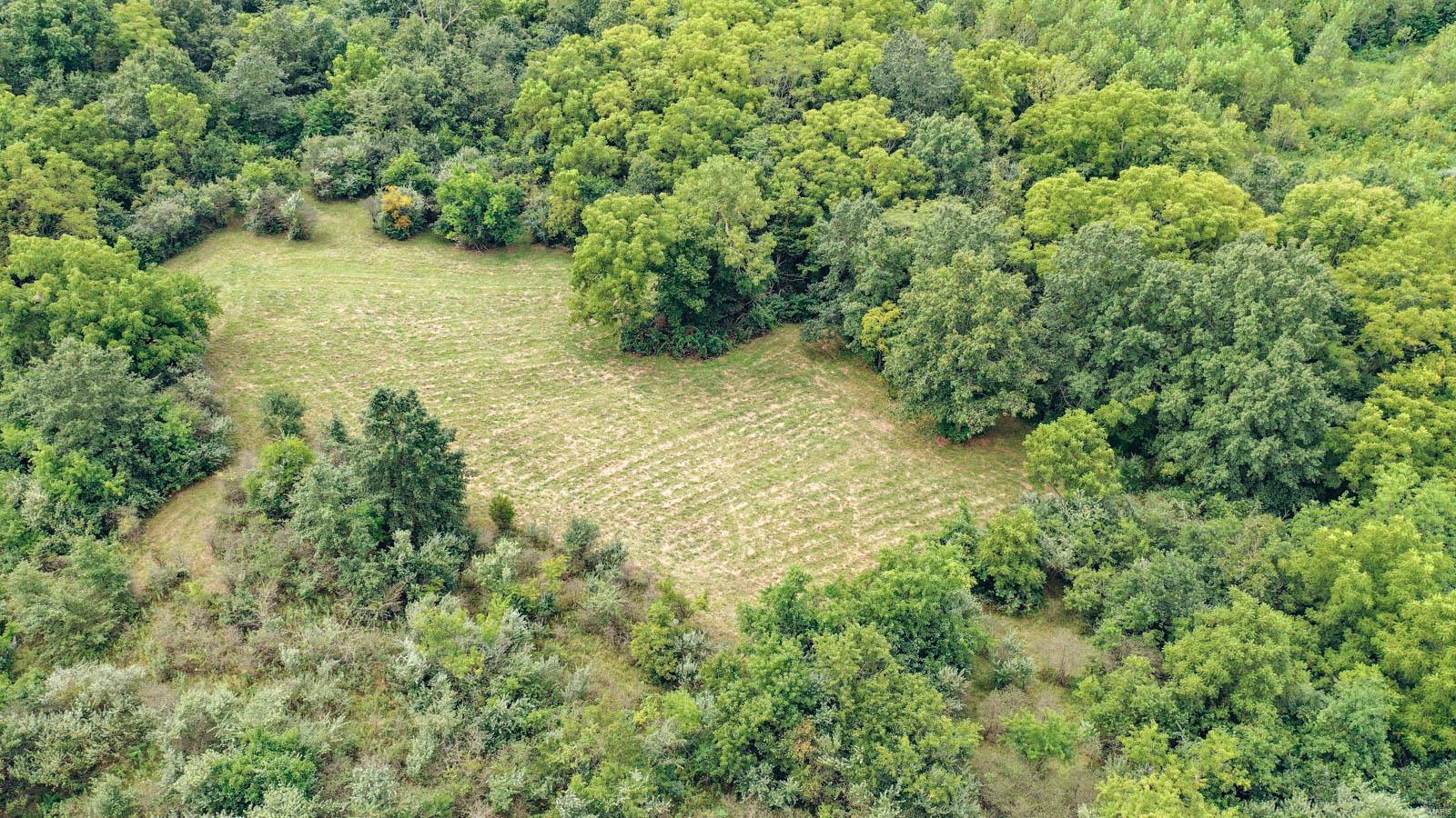10461 Bounds Road Shipman, IL 62685 - Photo 17 of 46