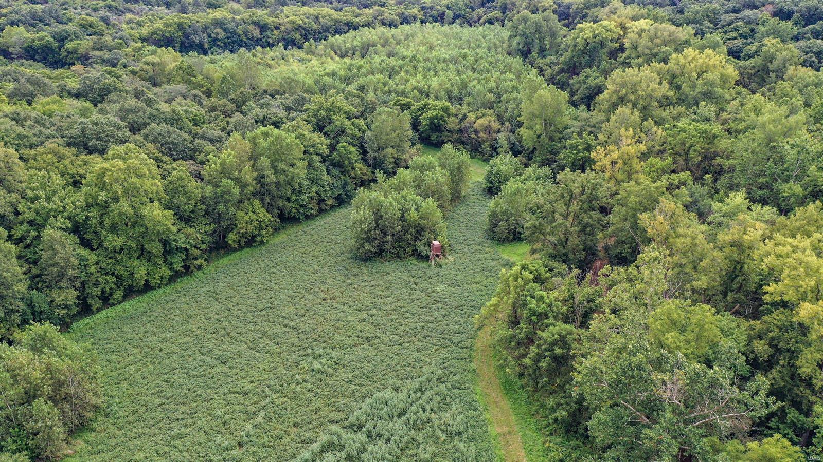 10461 Bounds Road Shipman, IL 62685 - Photo 19 of 46