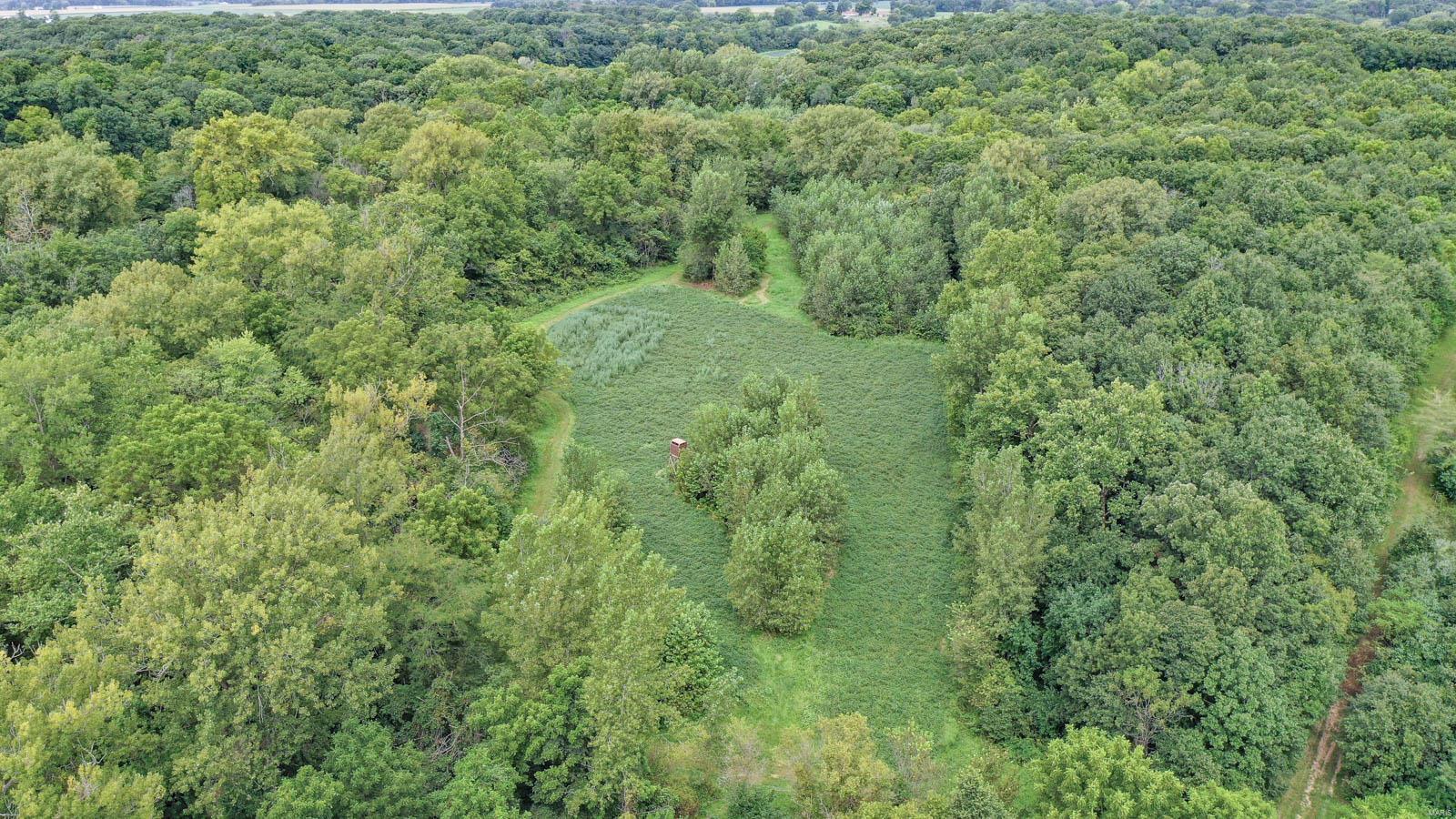 10461 Bounds Road Shipman, IL 62685 - Photo 20 of 46