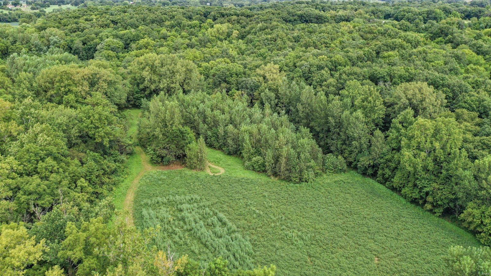 10461 Bounds Road Shipman, IL 62685 - Photo 21 of 46