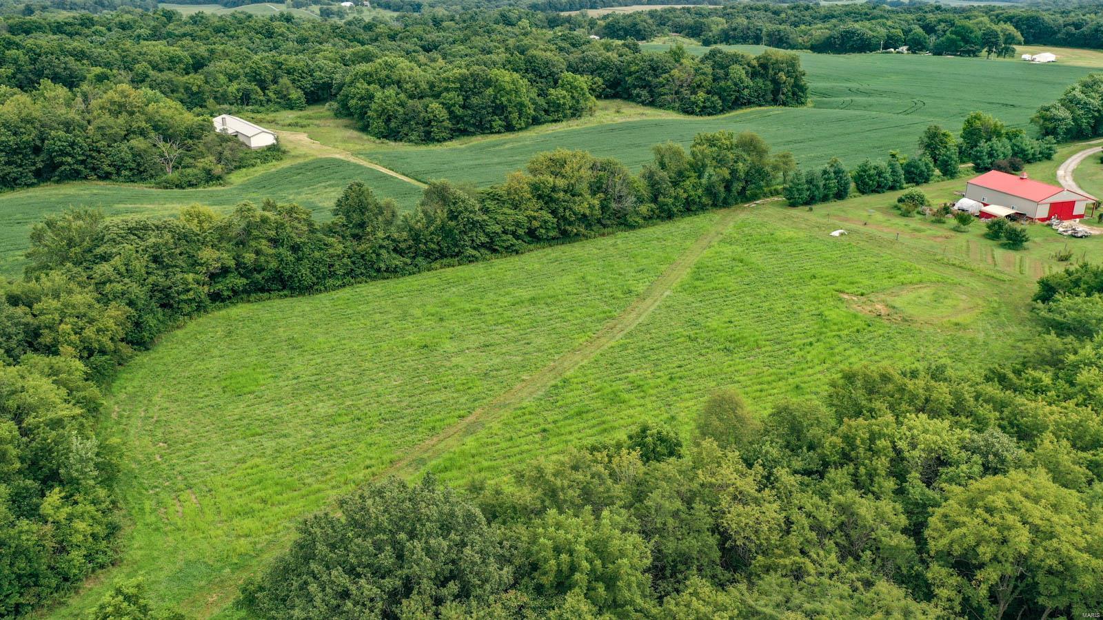 10461 Bounds Road Shipman, IL 62685 - Photo 22 of 46