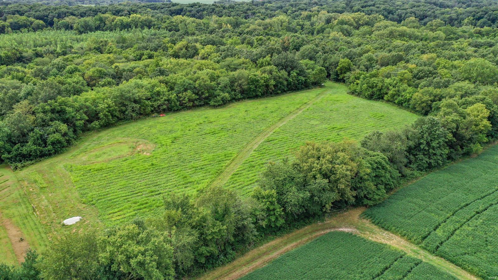 10461 Bounds Road Shipman, IL 62685 - Photo 23 of 46