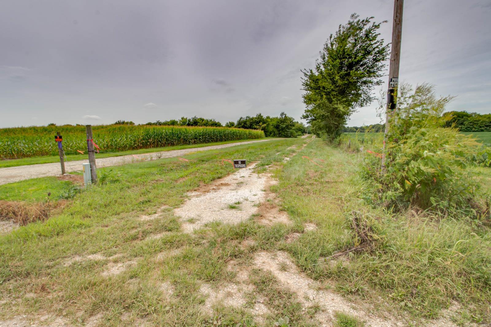10461 Bounds Road Shipman, IL 62685 - Photo 25 of 46