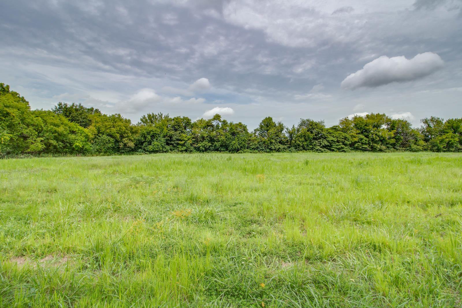 10461 Bounds Road Shipman, IL 62685 - Photo 28 of 46